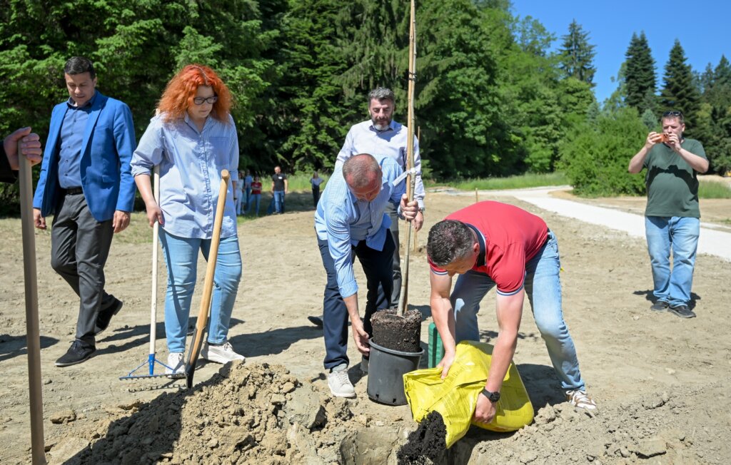 Arboretum Opeka Obilazak 15