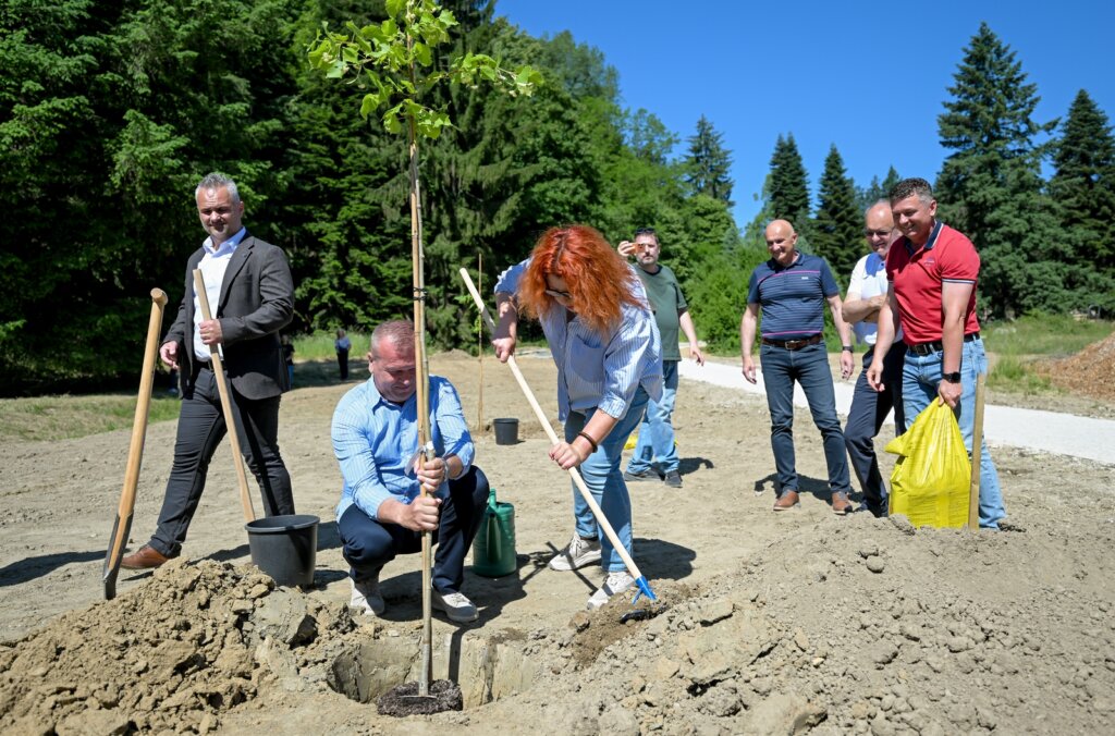 Arboretum Opeka Obilazak 16