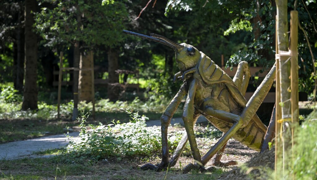 Arboretum Opeka Obilazak 29