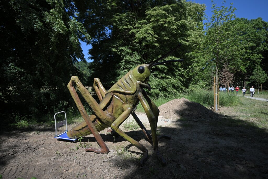 Arboretum Opeka Obilazak 31