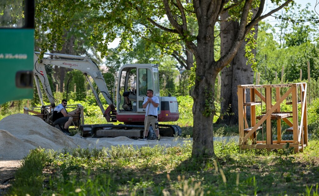 Arboretum Opeka Obilazak 38