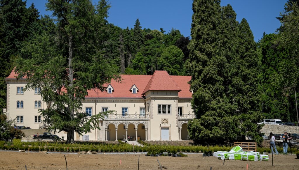Arboretum Opeka Obilazak 41