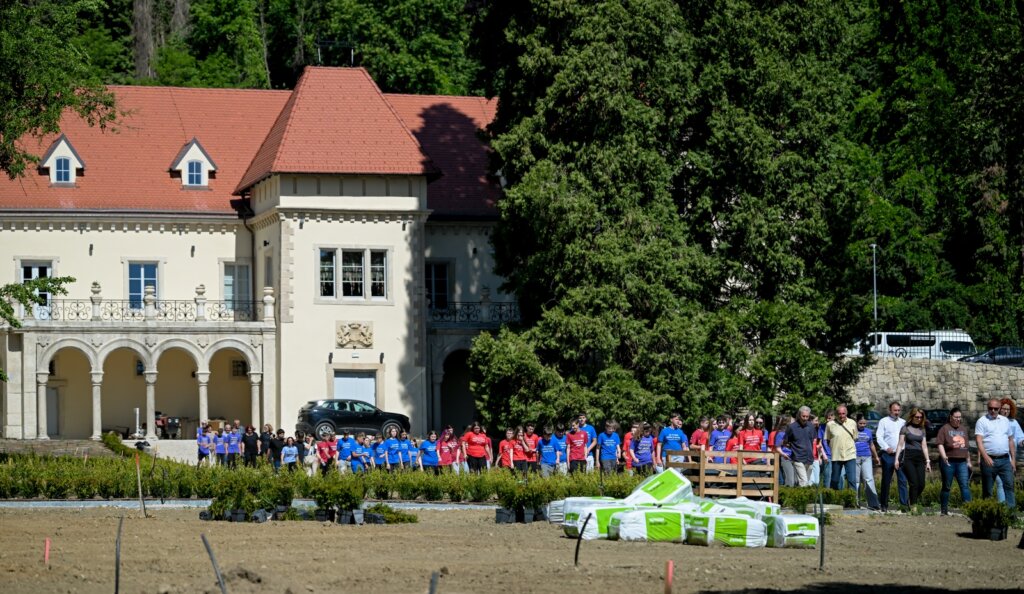 Arboretum Opeka Obilazak 6