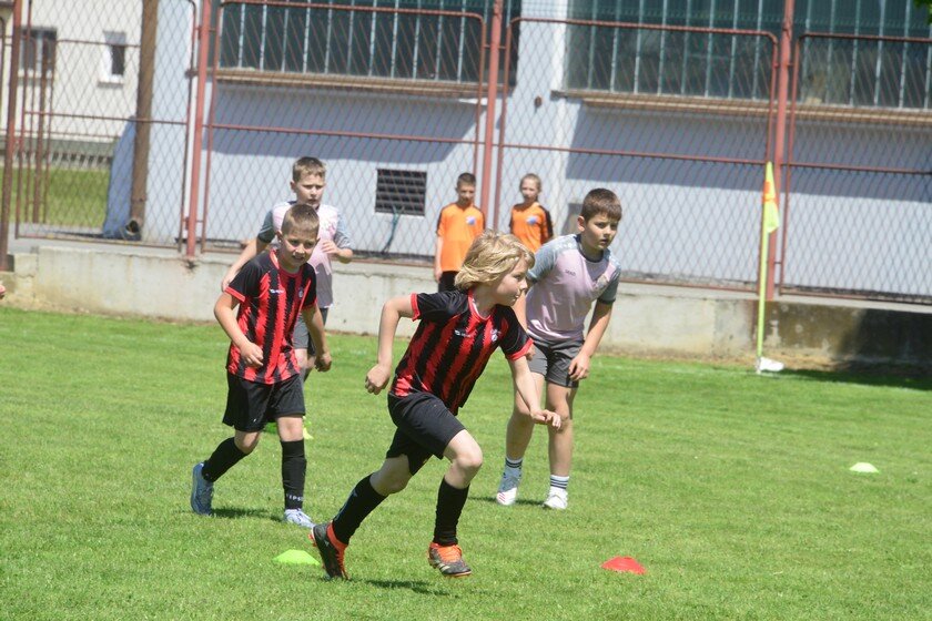 Fot 2361