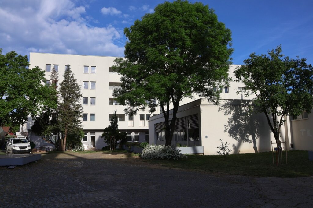 Img 0556