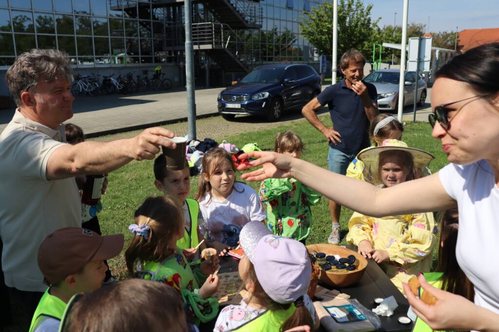 Img 8447 (1)