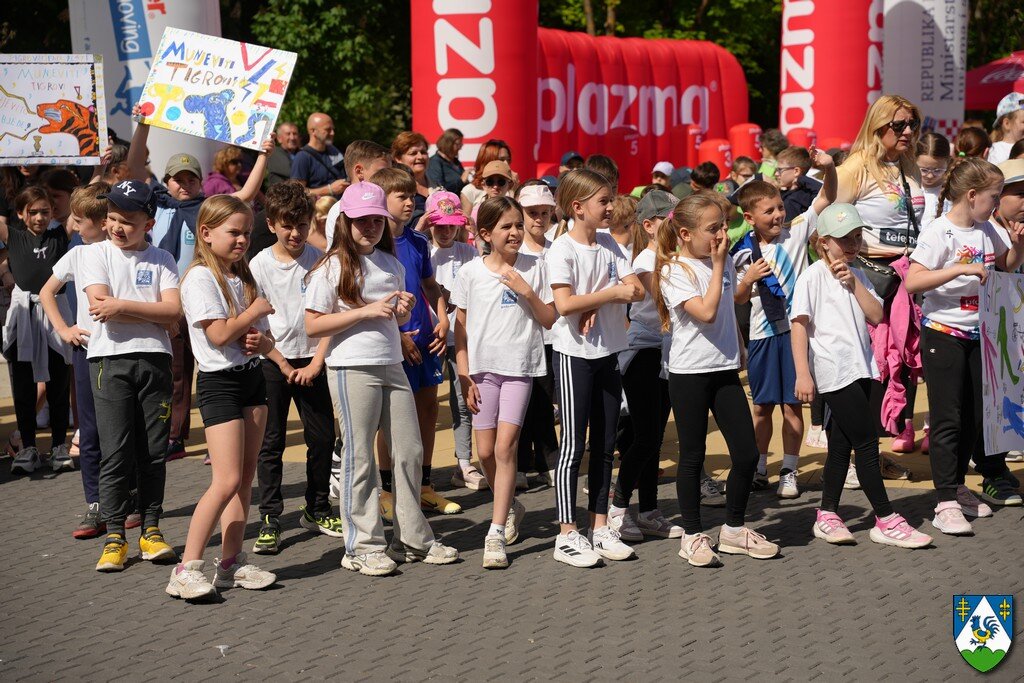 Kkz02832