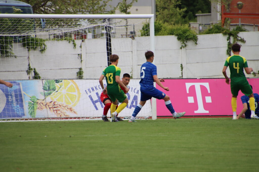 Pioniri Dinamo Istra 1961 2528 (1)
