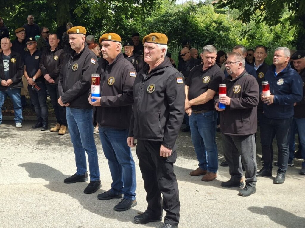 Tigrovi (8)