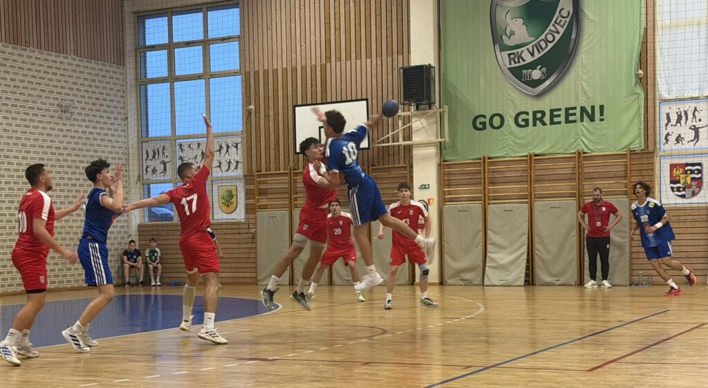 Vidovec 10