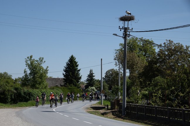 Biciklijda Put Bijele Rode 15.jpg 648x432 Q85 Subsampling 2