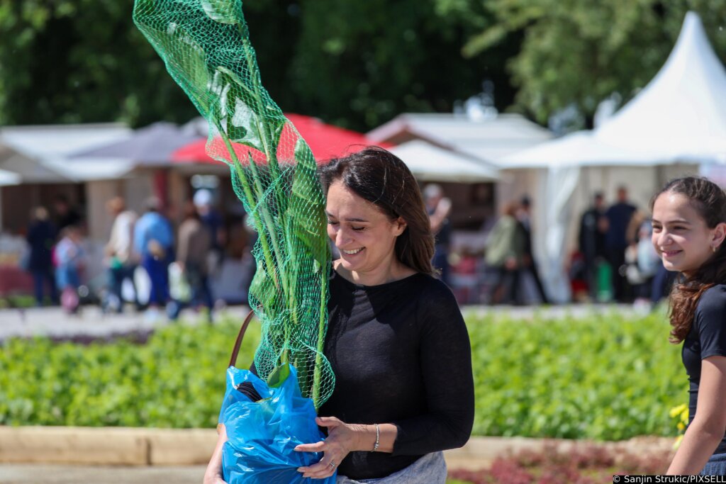 Zagreb: Sunce Obasjalo Flora Art