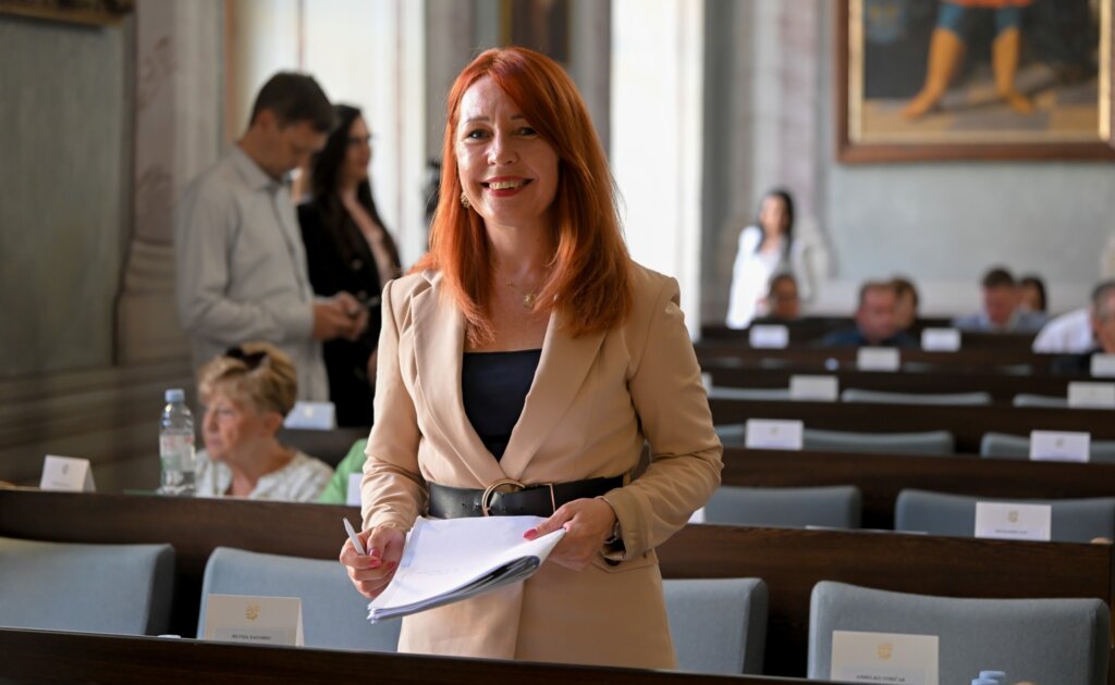 Zupanijska Skupstina Svibanj 2026 6