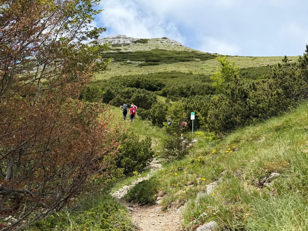 060626 Pohod Velebit 12