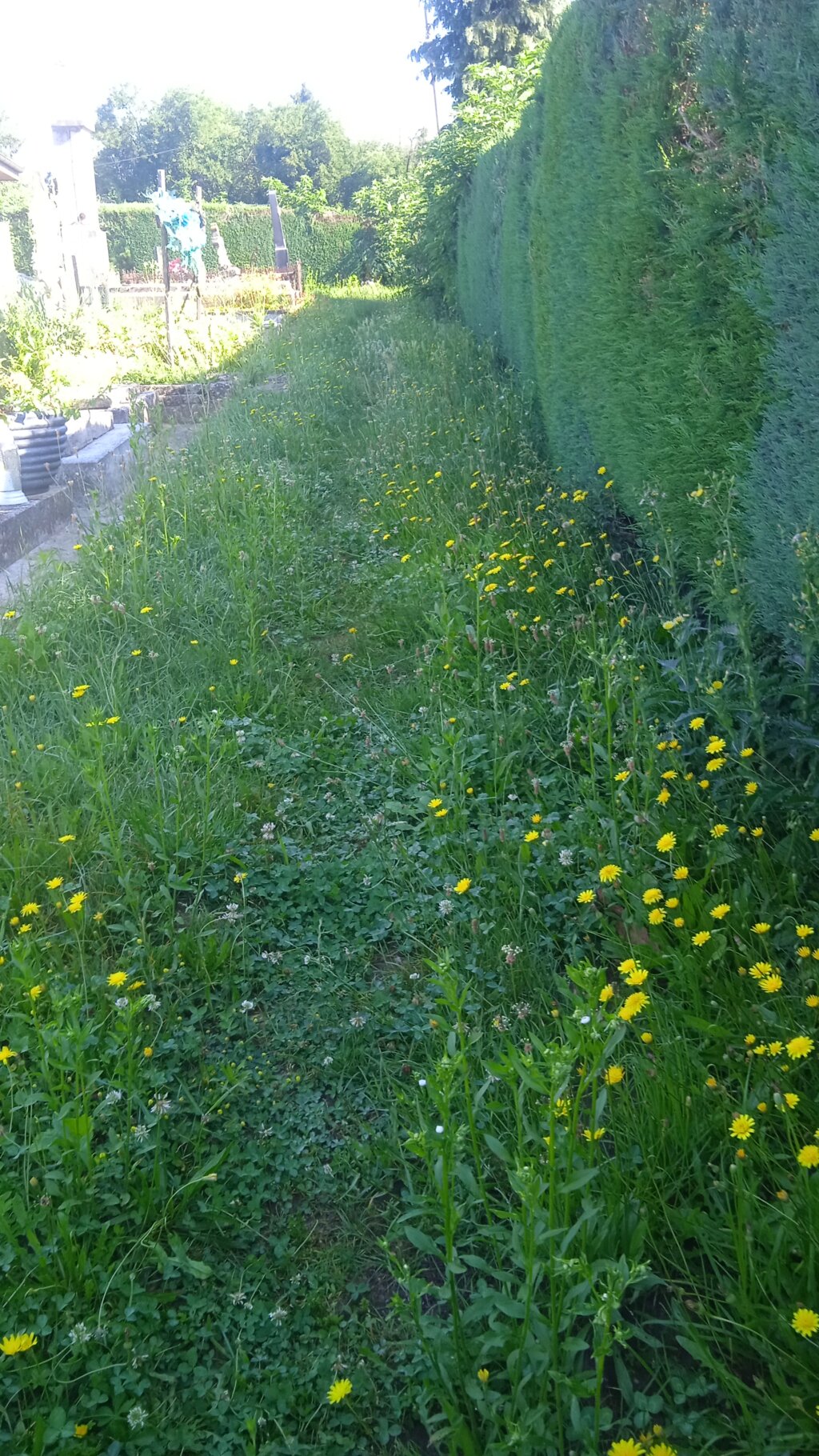 Img 20260619 083931 1