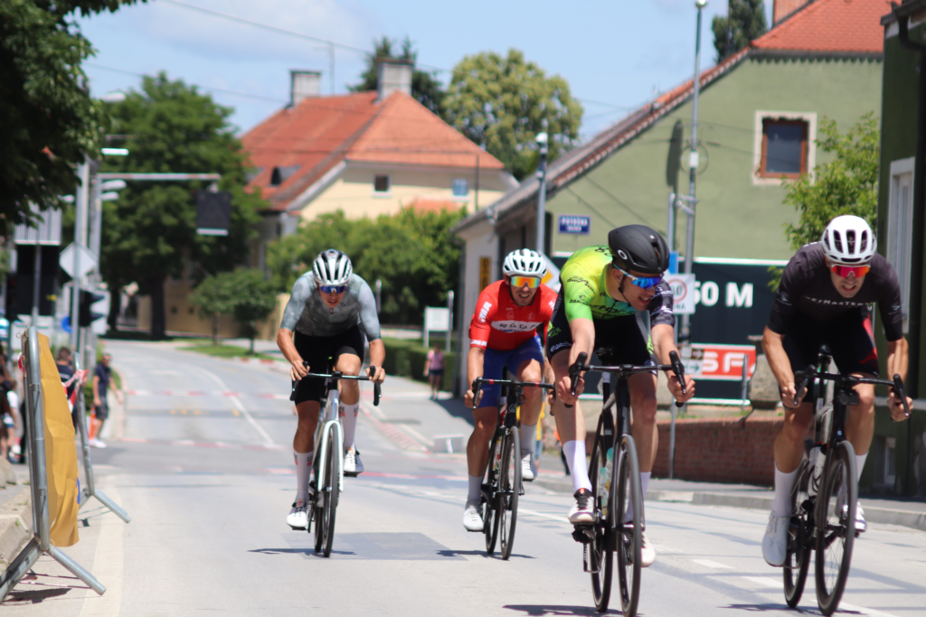 Img 6546