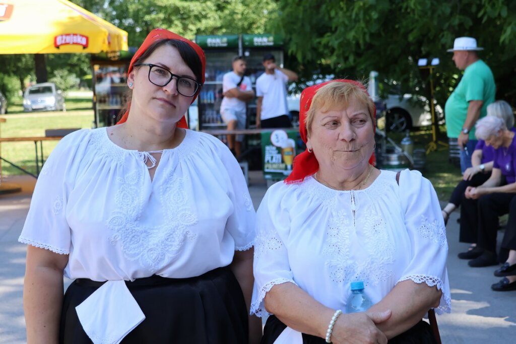Img 7919