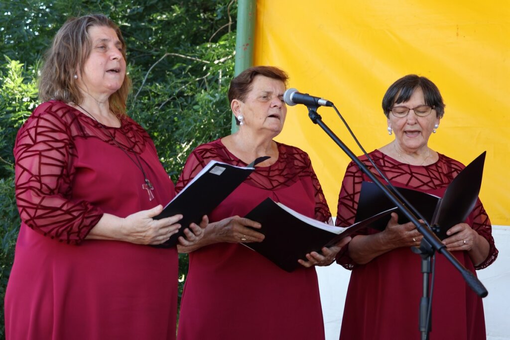 Img 7957