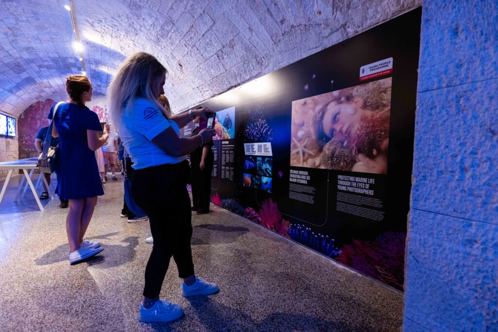 Info Zid U Prostoru Izložbeworld Unseen Informira Posjetitelje O Važnosti Koralja