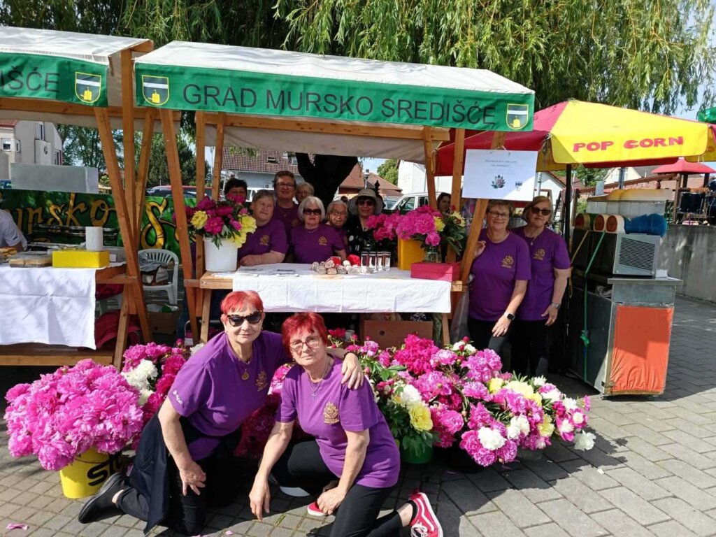 Mursko Sredisce 3
