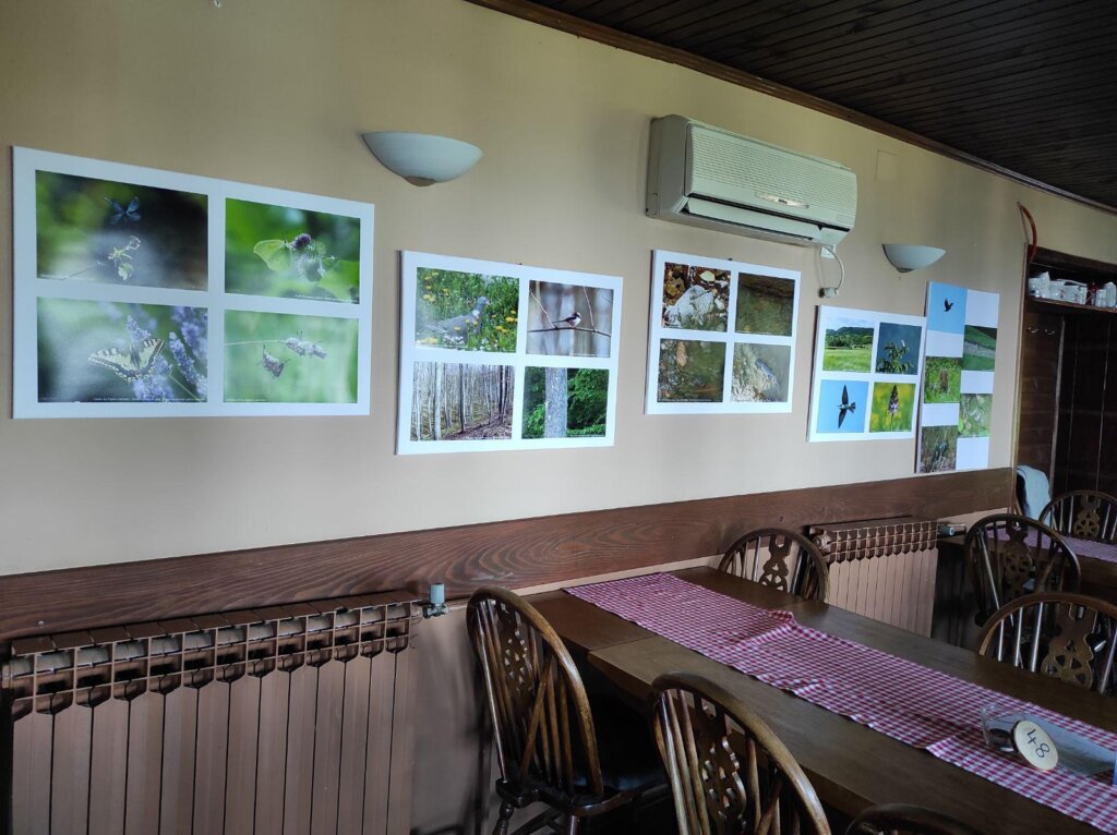 Photo 2026 06 21 12 23 59