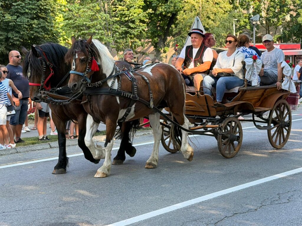 Photo 2026 06 28 18 35 22