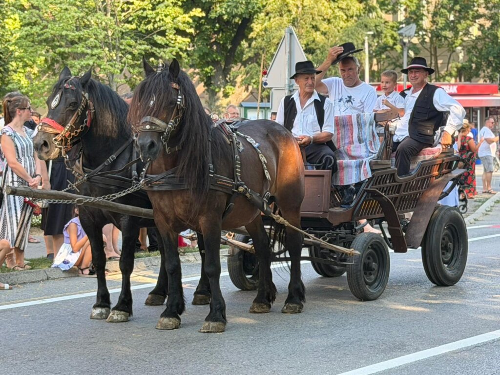 Photo 2026 06 28 18 35 23 2
