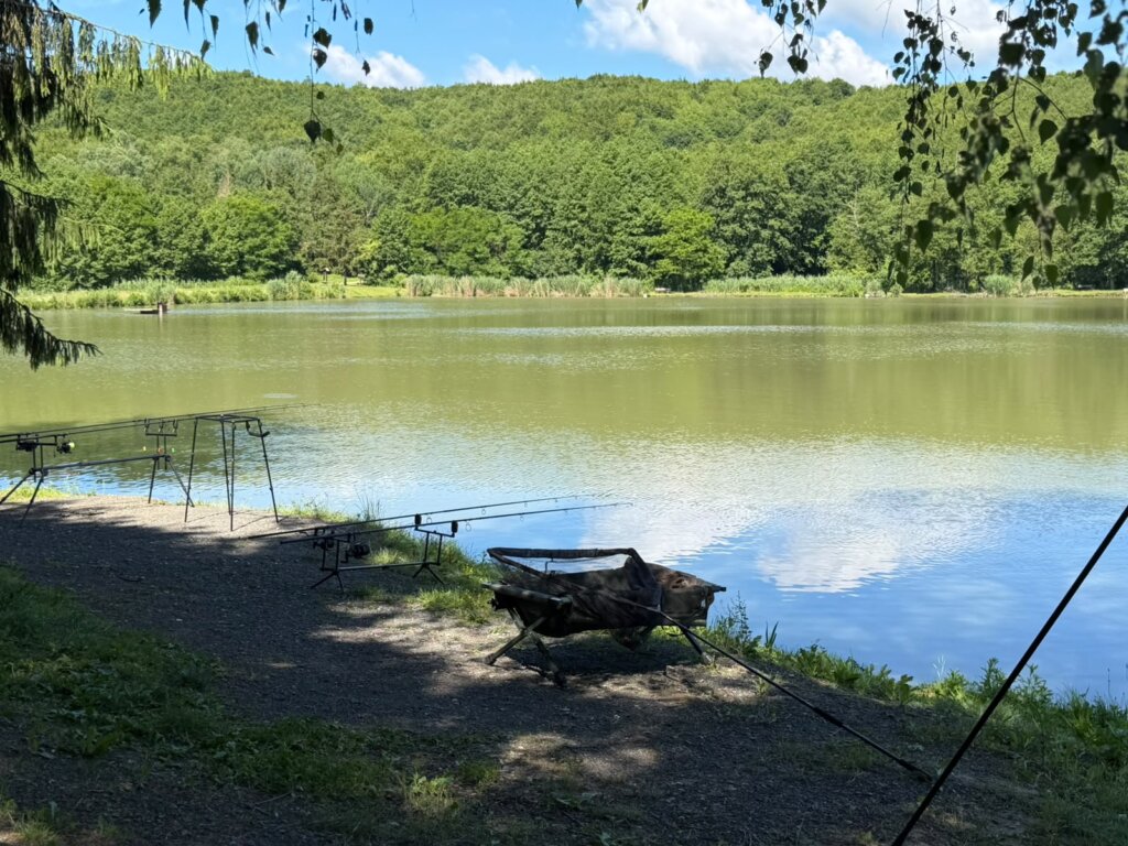 čabraji 2026 06 12 10 34 25 (2)