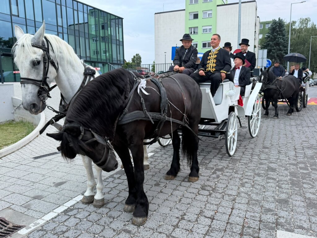 Povorka Spravišče 2026 06 05 20 35 10 (7)
