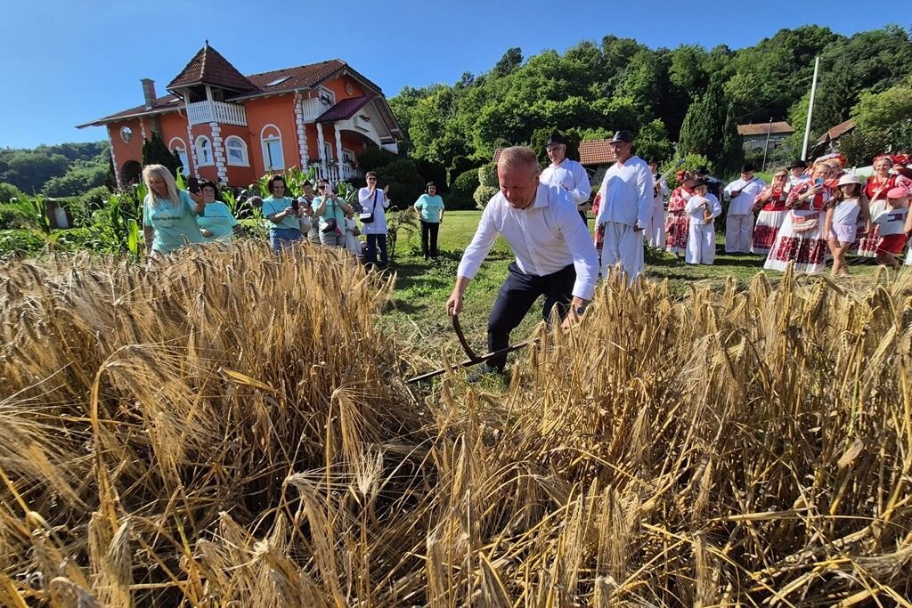 Vz Toplice Grescevina Zetva Biserna Dolina 15