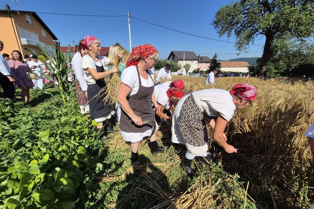 Vz Toplice Grescevina Zetva Biserna Dolina 20