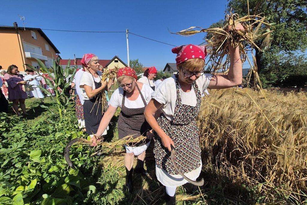 Vz Toplice Grescevina Zetva Biserna Dolina 28