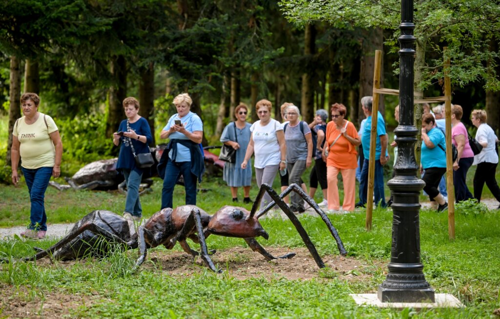 Arboretum Opeka umirovljenici (37)