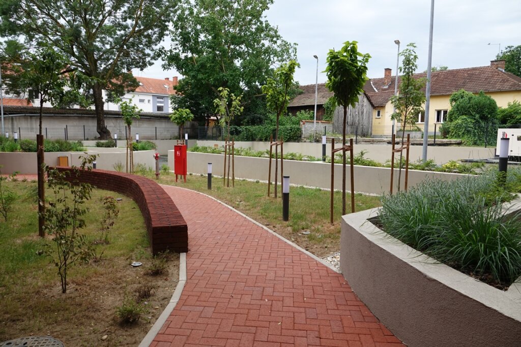 Dsc03979 (1)