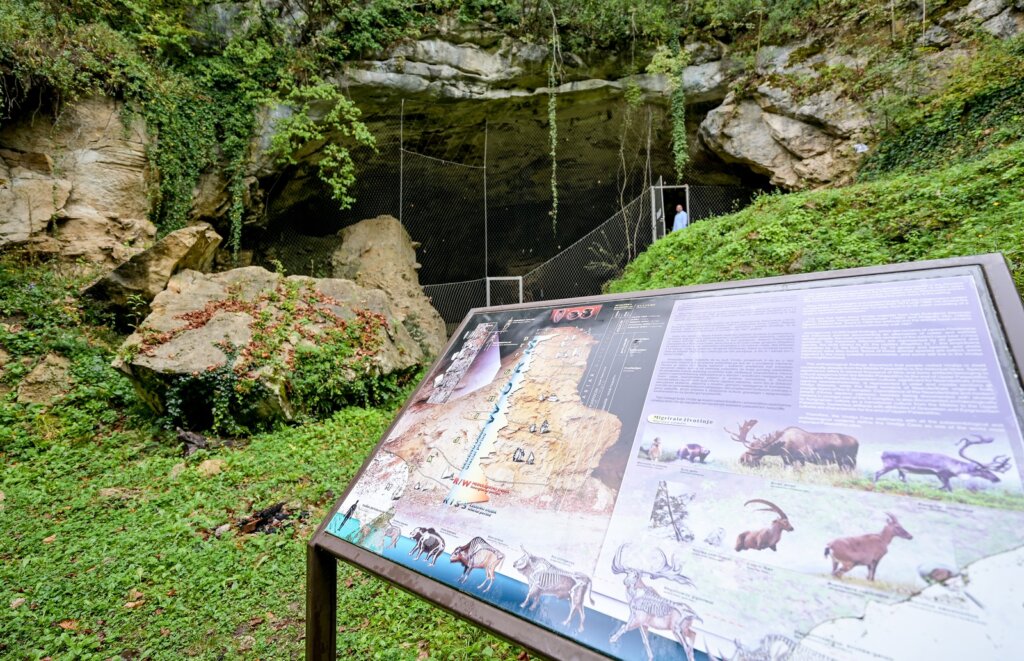 Ilustracija Spilja Vindija