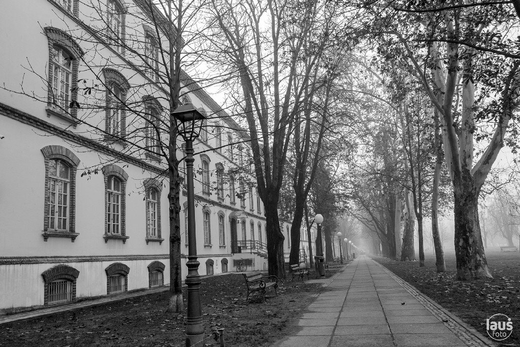 Laus Zagreb