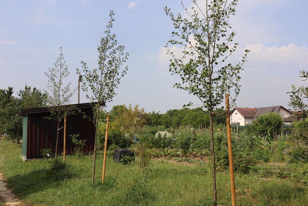 Pilot Projekt Zelena Infrastruktura 2026 08