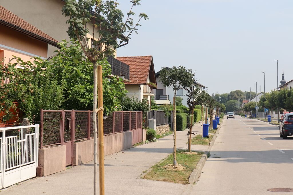 Pilot Projekt Zelena Infrastruktura 2026 13