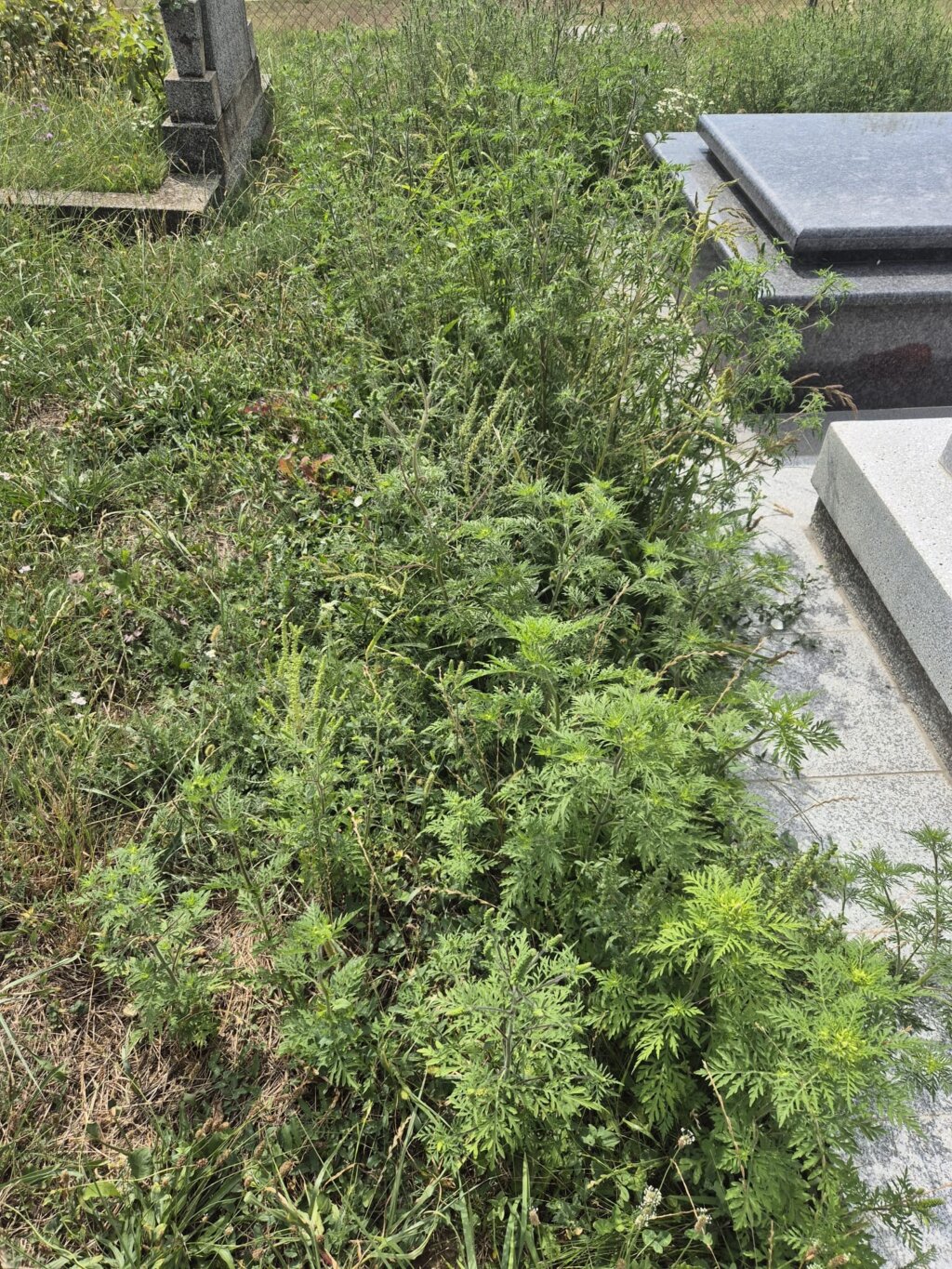 04d779f0 a793 409d 9b73 fe81f9a3f222