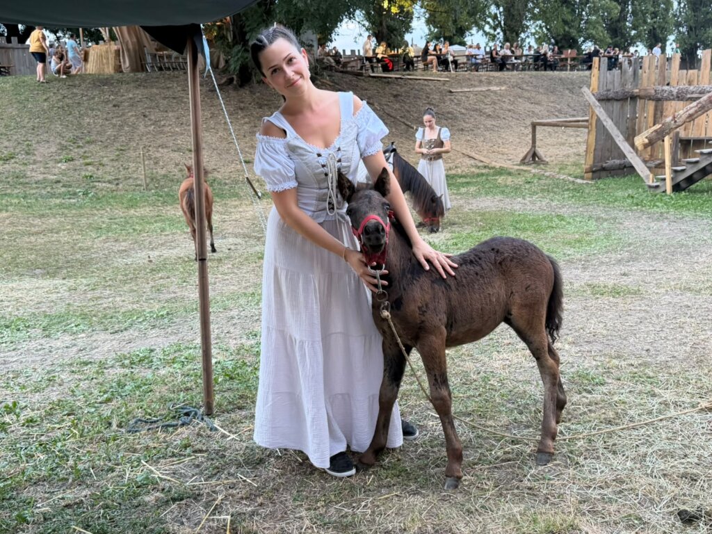 PHOTO 2026 08 21 19 32 34