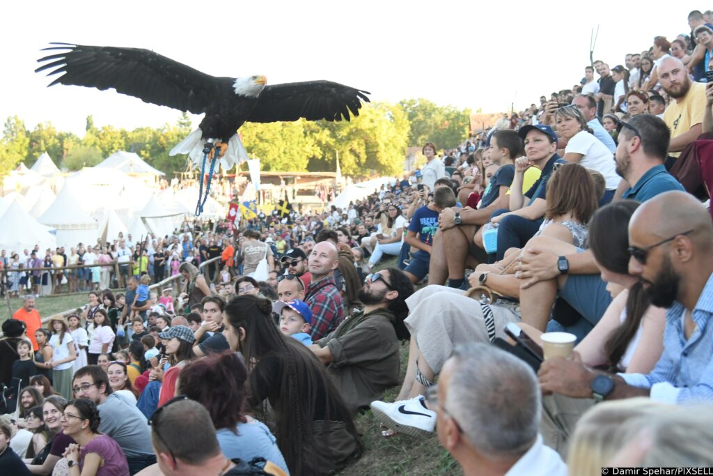Koprivnica: Sokolari iz Slovačke oduševili publiku na Renesansnom festivalu