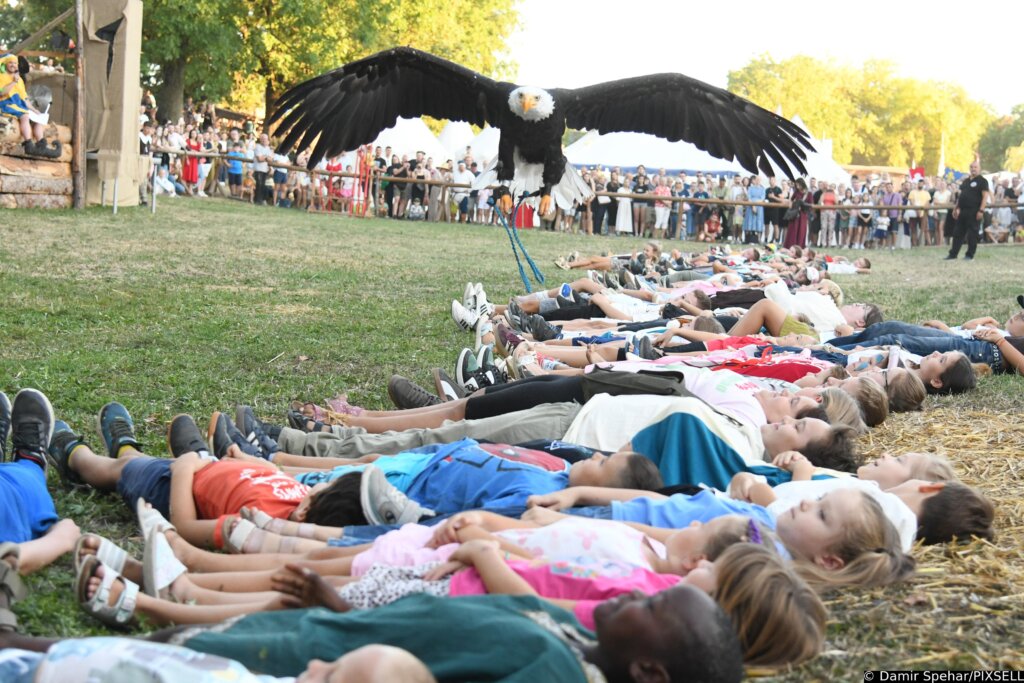 Koprivnica: Sokolari iz Slovačke oduševili publiku na Renesansnom festivalu