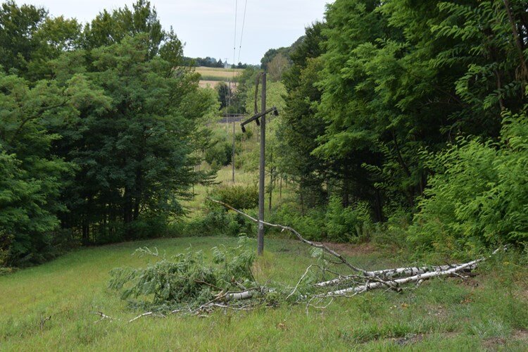 Tupkovec