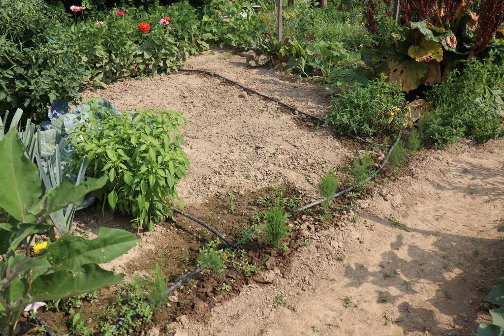 Zelena infrastruktura pilot projekt