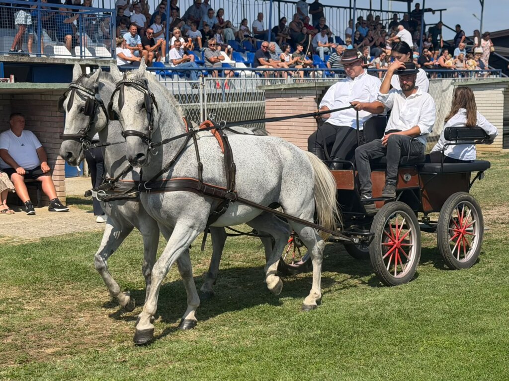 IZLOŽBA KONJA KLOŠTAR 2026 09 05 12 52 07 (14)