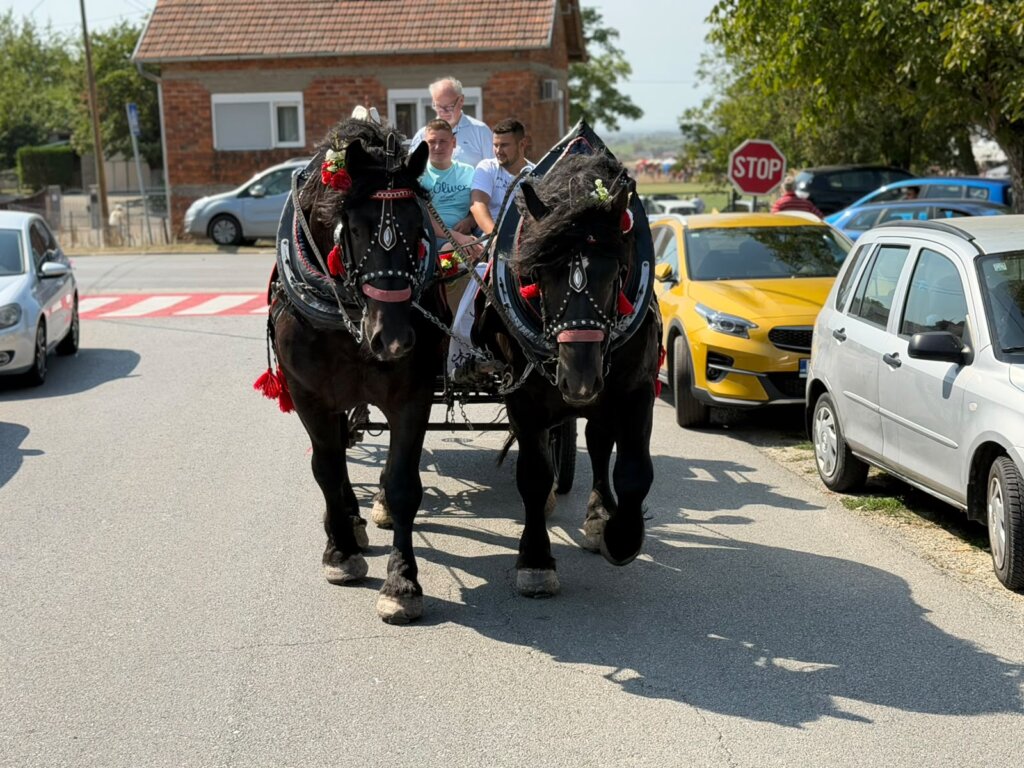 IZLOŽBA KONJA KLOŠTAR 2026 09 05 12 52 07 (18)