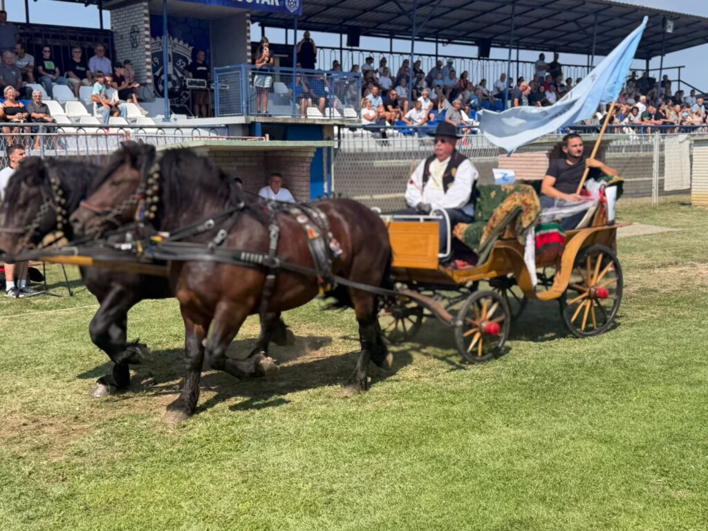 IZLOŽBA KONJA KLOŠTAR 2026 09 05 12 52 07 (8)