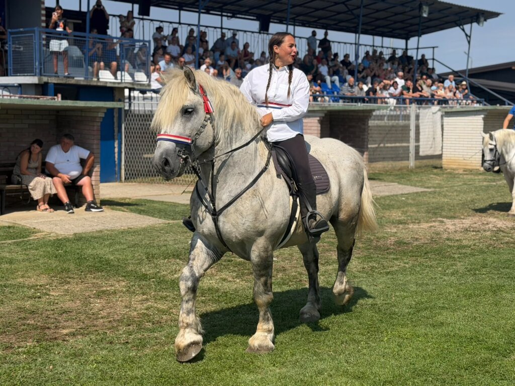 IZLOŽBA KONJA KLOŠTAR 2026 09 05 12 52 07 (9)
