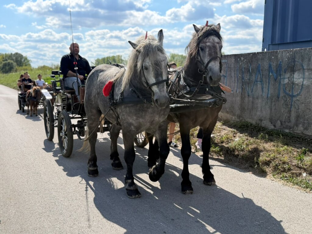 PHOTO 2026 09 12 15 30 33