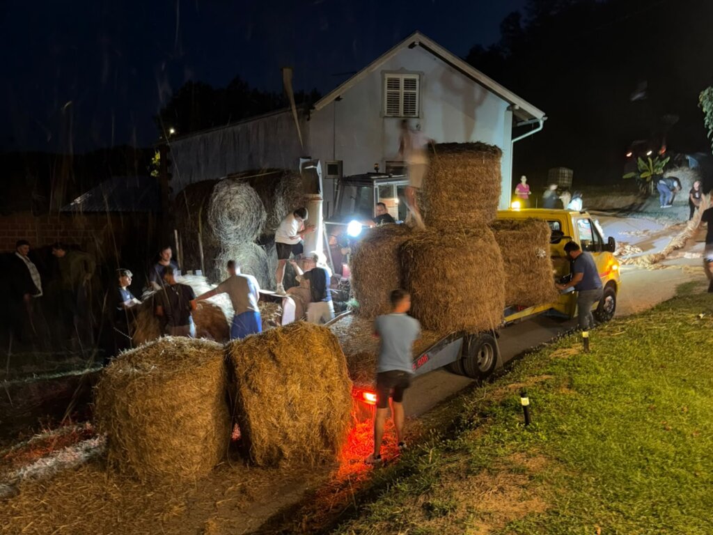 PHOTO 2026 09 19 21 14